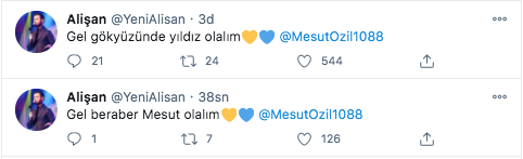 alisan mesut ozil